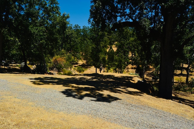 34811 Wintergreen Loop, North Fork, CA 93643 - photo 56