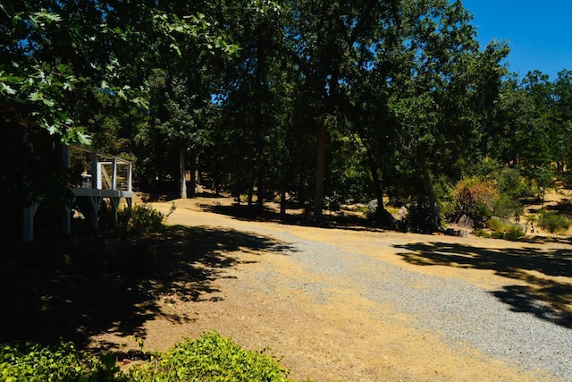 34811 Wintergreen Loop, North Fork, CA 93643 - photo 85