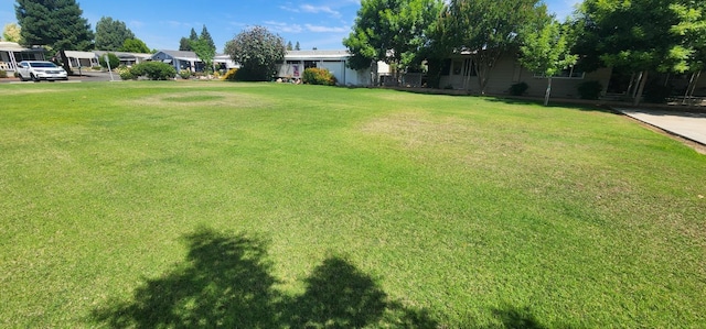 1300 W Olson Ave Unit 158, Reedley, CA 93654 - photo 34