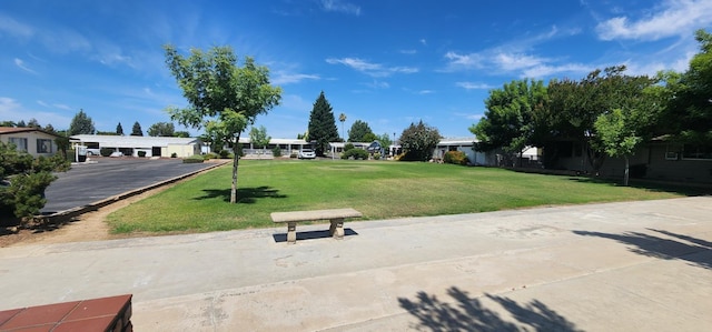 1300 W Olson Ave Unit 158, Reedley, CA 93654 - photo 37