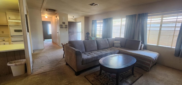 1300 W Olson Ave Unit 75, Reedley, CA 93654 - photo 7