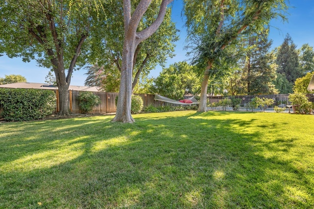 2182 Alamos Ave, Clovis, CA 93611 - photo 40