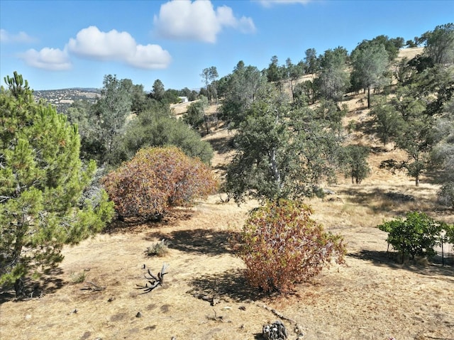 42480 Ranger Circle Way, Coarsegold, CA 93614 - photo 37