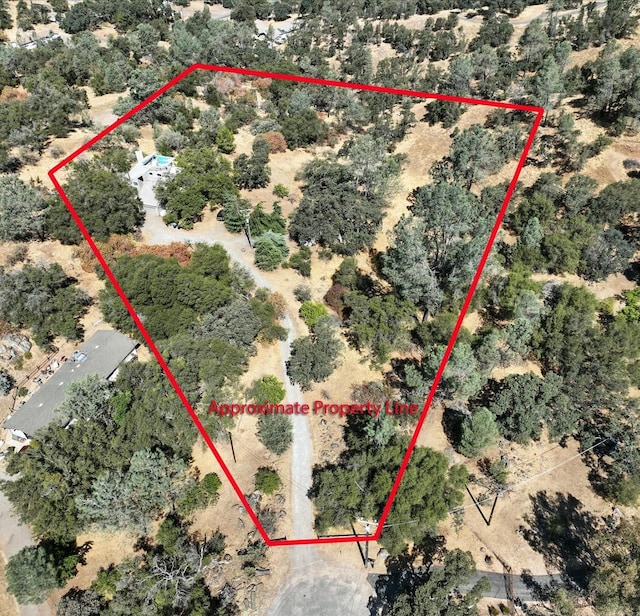 42480 Ranger Circle Way, Coarsegold, CA 93614 - photo 38
