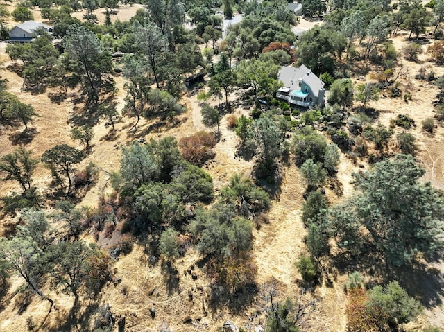 42480 Ranger Circle Way, Coarsegold, CA 93614 - photo 39