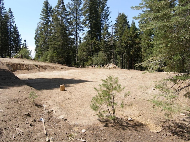 39851 Mountain Heather Rd, Shaver Lake, CA 93664 - photo 8