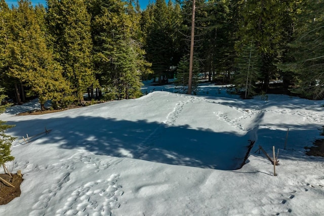 39851 Mountain Heather Rd, Shaver Lake, CA 93664 - photo 14
