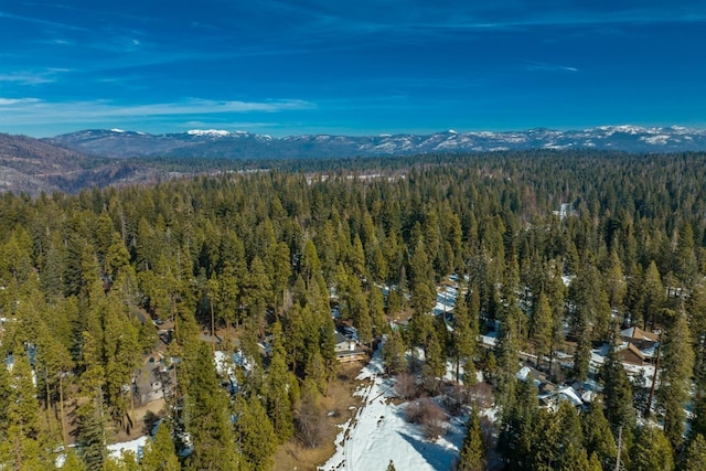 39851 Mountain Heather Rd, Shaver Lake, CA 93664 - photo 11
