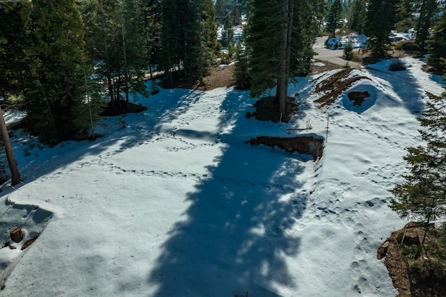 39851 Mountain Heather Rd, Shaver Lake, CA 93664 - photo 13