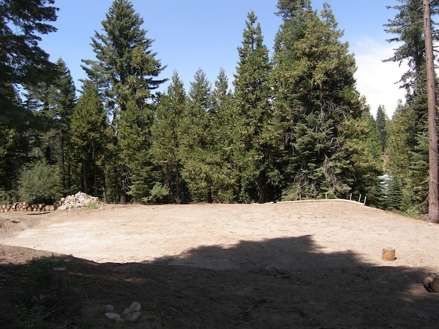 39851 Mountain Heather Rd, Shaver Lake, CA 93664 - photo 7