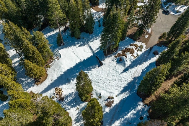 39851 Mountain Heather Rd, Shaver Lake, CA 93664 - photo 15