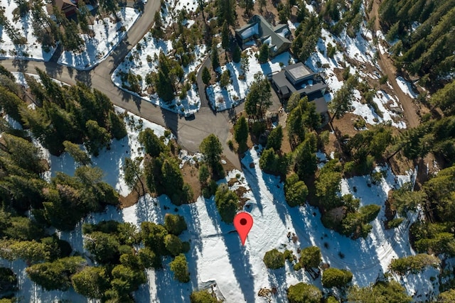 39851 Mountain Heather Rd, Shaver Lake, CA 93664 - photo 19