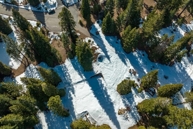 39851 Mountain Heather Rd, Shaver Lake, CA 93664 - photo 9