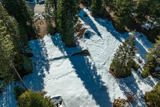39851 Mountain Heather Rd, Shaver Lake, CA 93664 - photo 16