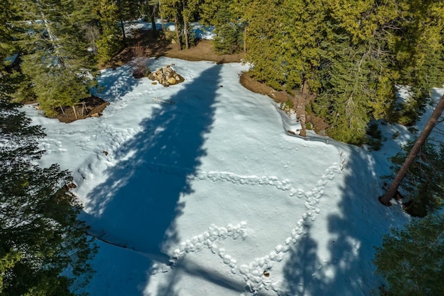 39851 Mountain Heather Rd, Shaver Lake, CA 93664 - photo 12