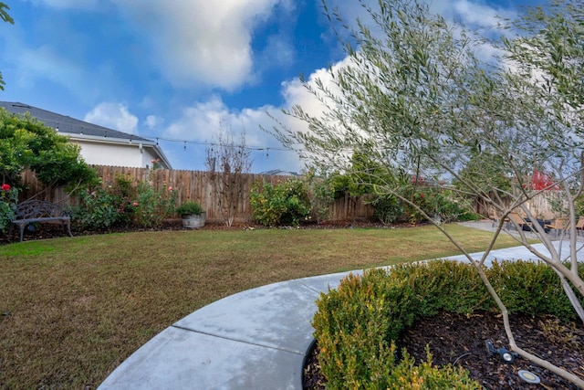 1765 Clearwater, Tulare, CA 93274 - photo 15