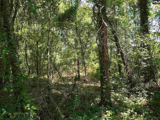 0 Clyde Ave, Cheraw, SC 29520