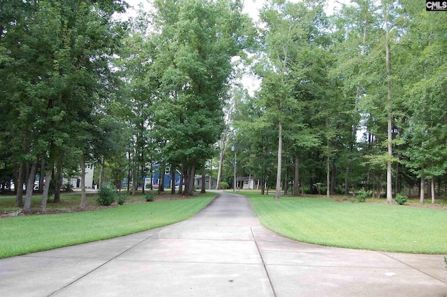 view of property's community featuring a lawn