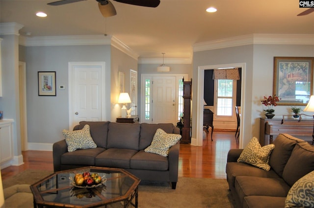 living room featuring ceiling fan, crown molding, and light hardwood / wood-style flooring