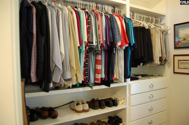 view of walk in closet