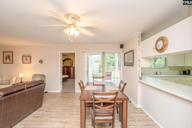 dining area with ceiling fan, sink, and light hardwood / wood-style floors