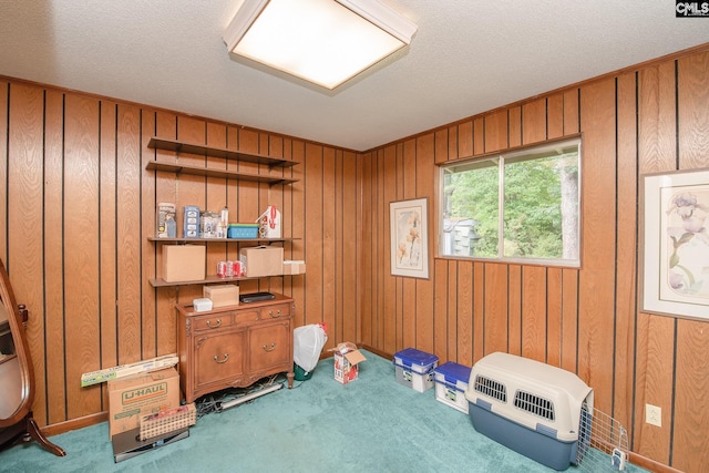 misc room featuring wood walls, a textured ceiling, and carpet