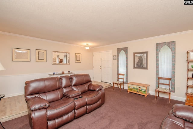 living room with carpet flooring, ornamental molding, and a textured ceiling