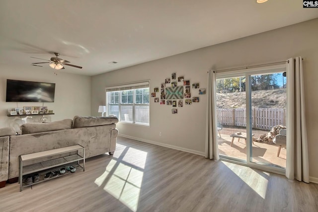 living room featuring ceiling fan and light hardwood / wood-style flooring