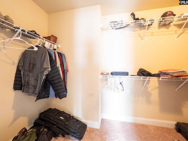 walk in closet featuring carpet