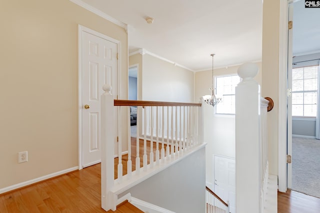 hall with a notable chandelier, a healthy amount of sunlight, and light hardwood / wood-style flooring