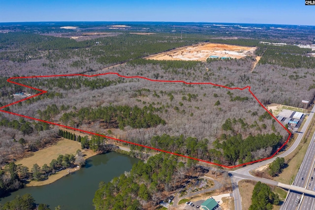 442 Savany Hunt Creek Rd, Gaston SC, 29053 land for sale