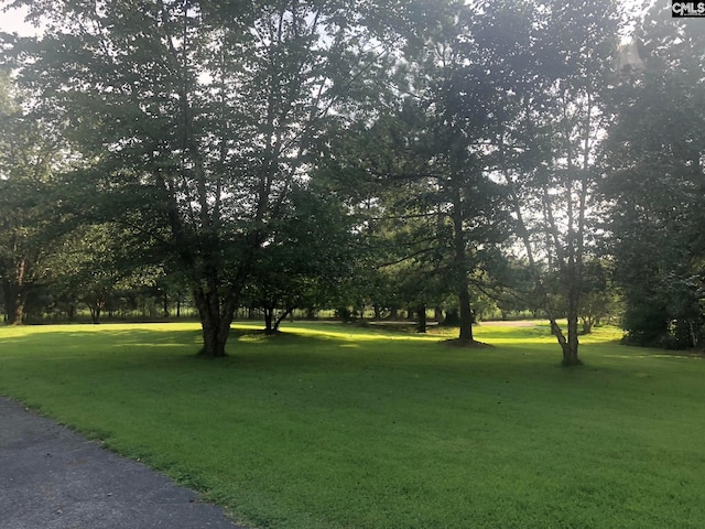 view of nearby features featuring a lawn