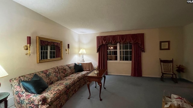 living room with a textured ceiling and carpet