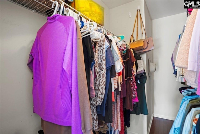 51 Swallowtail Ct, Columbia, SC 29229 - walk in closet with dark hardwood / wood-style flooring