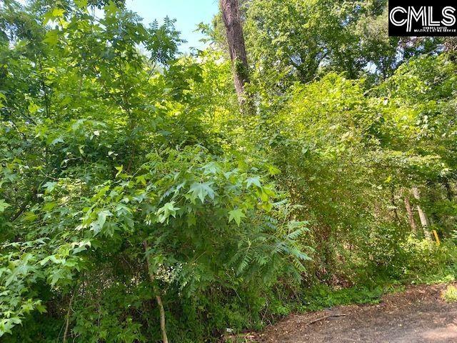 Roosevelt Rd Unit 60, Columbia SC, 29180 land for sale