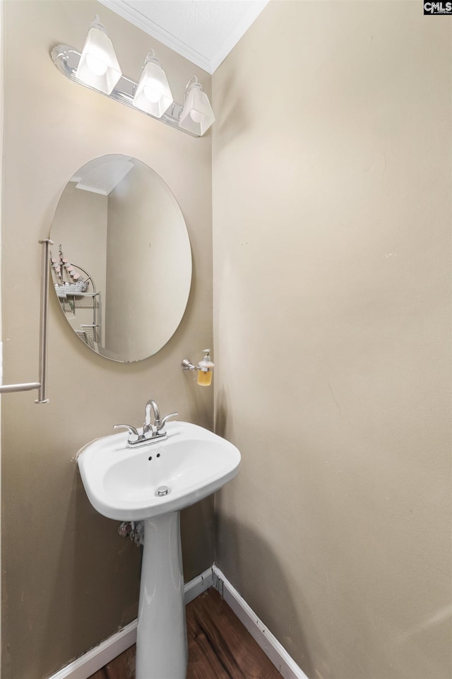 bathroom with wood-type flooring