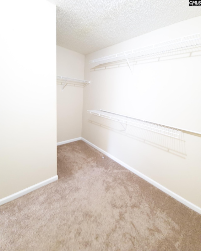 walk in closet featuring light colored carpet