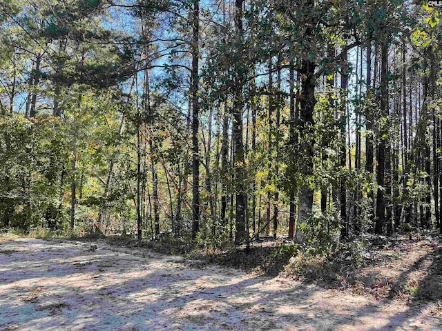 1809 Louise Ct, Lugoff SC, 29078 land for sale