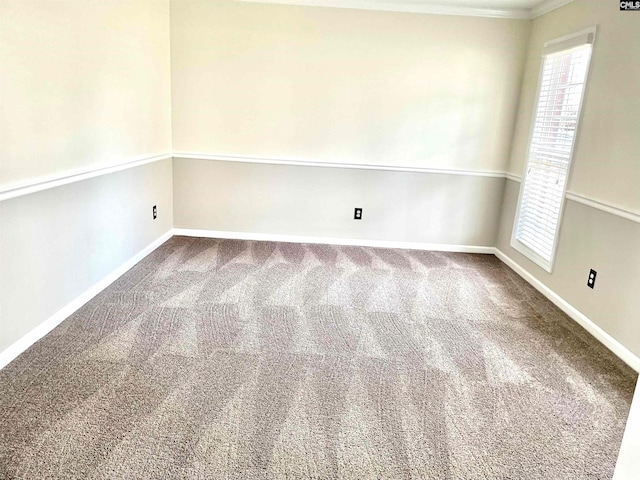 carpeted empty room with crown molding