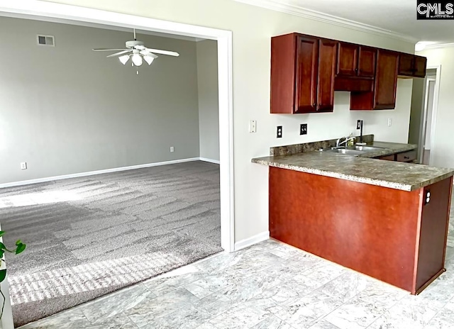 kitchen featuring light colored carpet, crown molding, ceiling fan, and sink