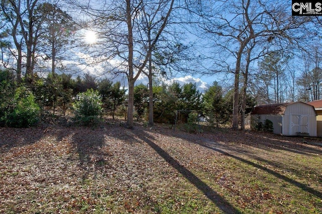 view of yard featuring a storage shed