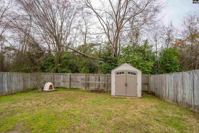 view of yard featuring a storage shed