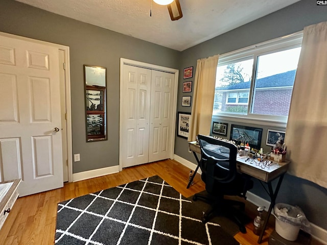 office space featuring light hardwood / wood-style floors and ceiling fan