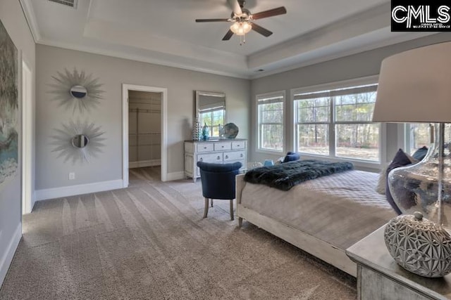 carpeted bedroom with ceiling fan, a closet, a raised ceiling, and a spacious closet