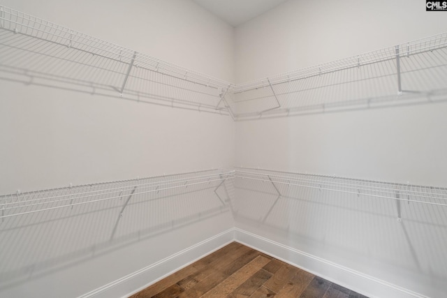 walk in closet with wood-type flooring