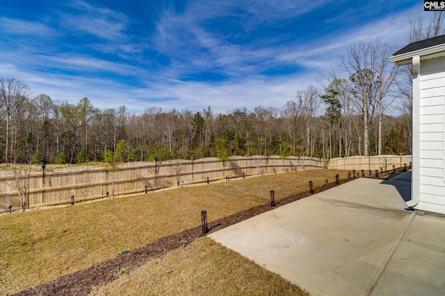 view of yard featuring a patio