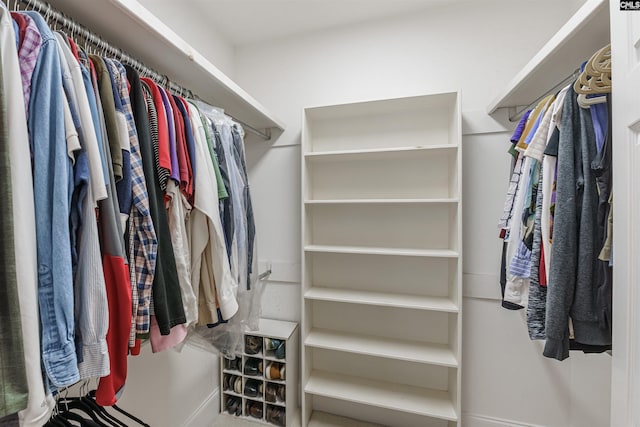 view of spacious closet