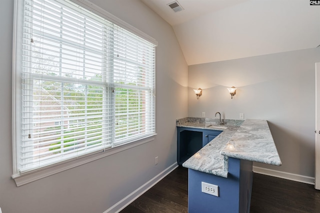 office with vaulted ceiling, sink, and dark hardwood / wood-style flooring