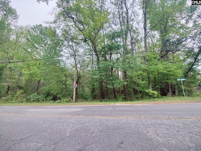 Listing photo 3 for Mineral Springs Rd, Lexington SC 29073