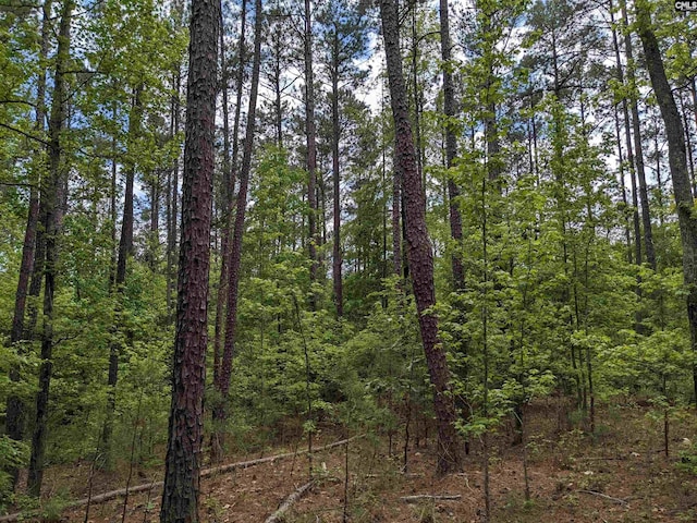 489 Syrup Mill Rd, Ridgeway SC, 29130 land for sale